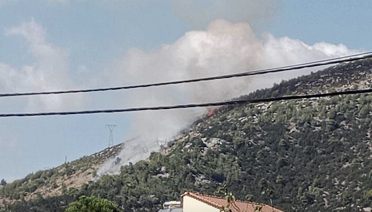 Πυρκαγιά σε δασική έκταση στην περιοχή Ανατολή Νέας Μάκρης Αττικής